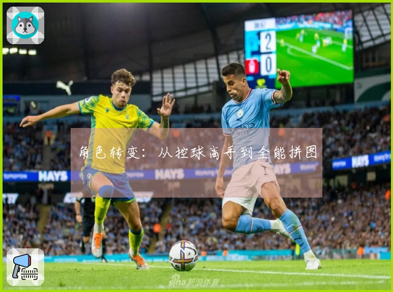 角色转变：从控球高手到全能拼图