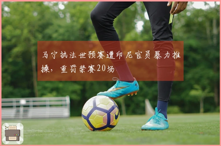 马宁执法世预赛遭印尼官员暴力推搡，重罚禁赛20场